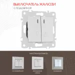 Выключатель жалюзи с подсветкой, 10A 250V 203.39-2.silver от ImperiumLoft