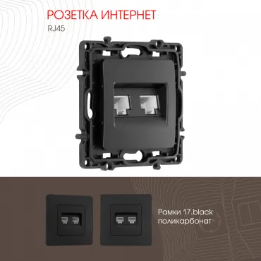 Розетка RJ45 х 2 217.45-2.black