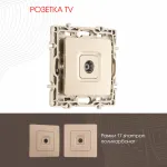 Розетка TV 217.43-1.shampan от ImperiumLoft