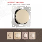 Переключатель одноклавишный перекрёстный, 10AX 250V 202.34-1.shampan от ImperiumLoft