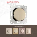 Выключатель трёхклавишный, 10AX 250V 202.30-3.shampan от ImperiumLoft