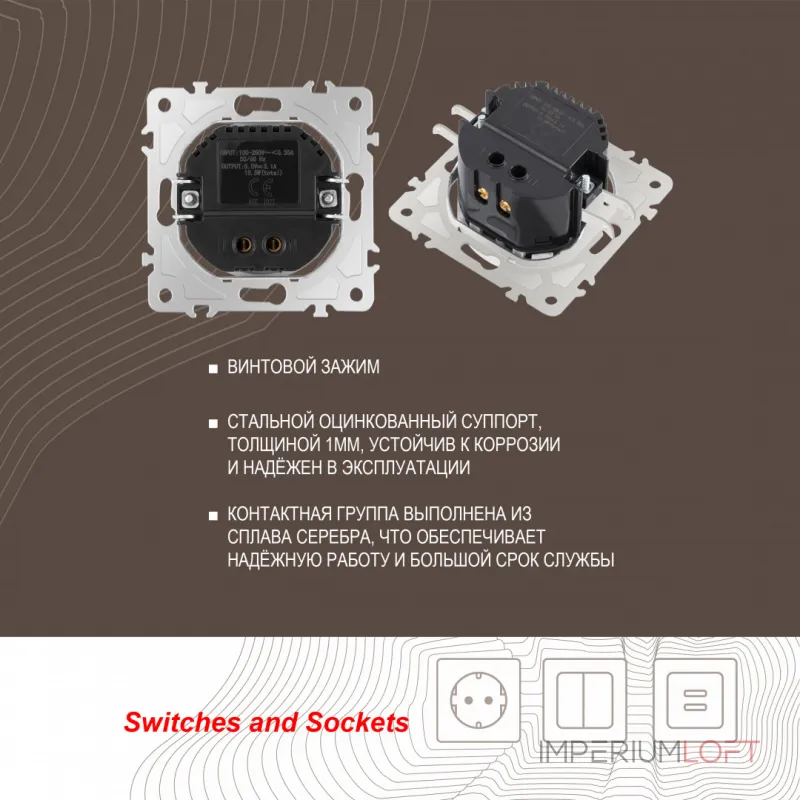 Розетка USB 2.1А+1А 202.46-1.shampan от ImperiumLoft