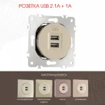 Розетка USB 2.1А+1А 202.46-1.shampan от ImperiumLoft