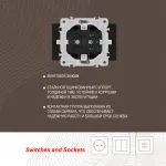 Розетка двойная с заземлением, 16A 250V 206.40-2.black от ImperiumLoft