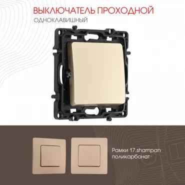 Выключатель одноклавишный проходной (на 2 направления), 10AX 250V 217.32-1.shampan