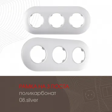 Рамка из поликарбоната на 3 поста 502.08-3.silver Рамка из поликарбоната на 3 поста 502.08-3.silver