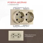 Розетка двойная с заземлением, 16A 250V 206.40-2.shampan от ImperiumLoft