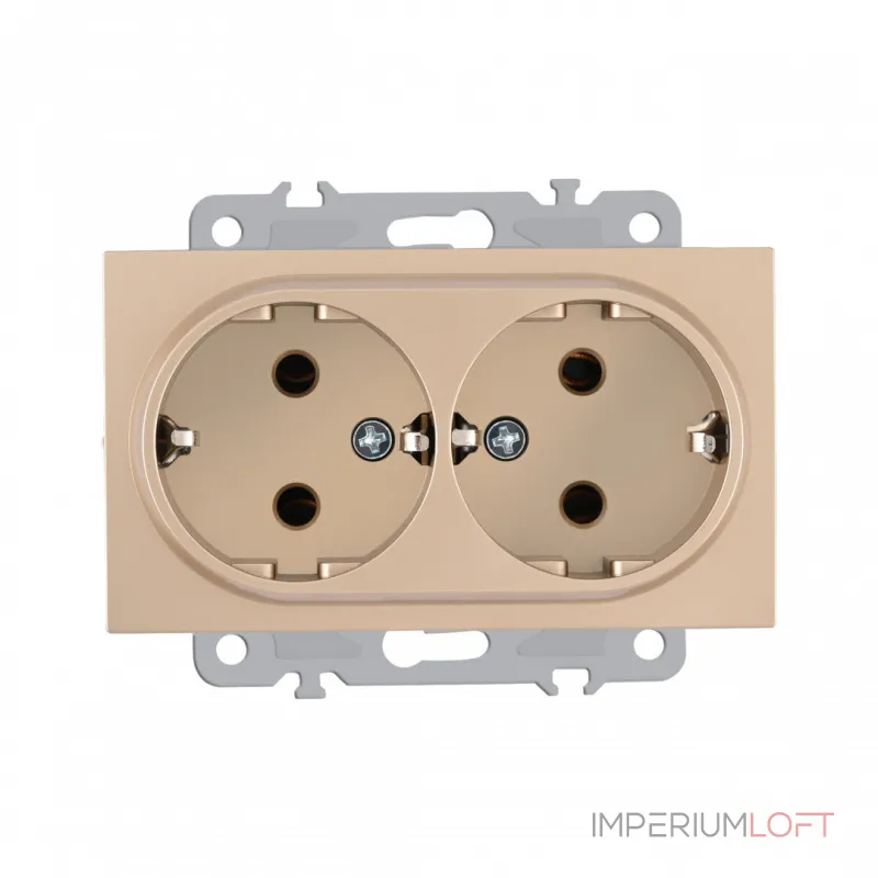 Розетка двойная с заземлением, 16A 250V 206.40-2.shampan от ImperiumLoft