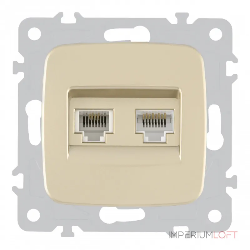 Розетка телефонная RJ11 + компьютерная RJ45 205.44-1.shampan от ImperiumLoft
