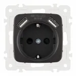 Розетка с заземлением, шторками + 2 USB, 16A 250V, USB DC 5V 2.1A 205.47-1.black от ImperiumLoft