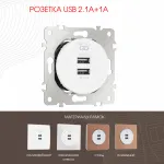 Розетка USB 2.1А+1А 202.46-1.white от ImperiumLoft