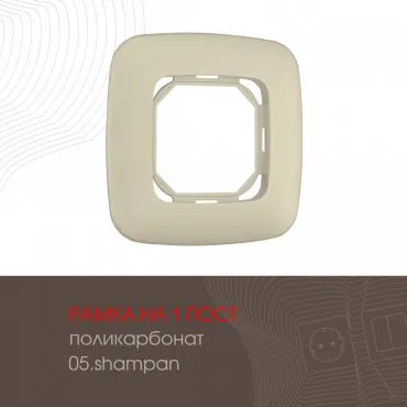 Рамка из поликарбоната на 1 пост 505.05-1.shampan