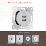 Розетка USB 2.1А+1А 202.46-1.silver от ImperiumLoft