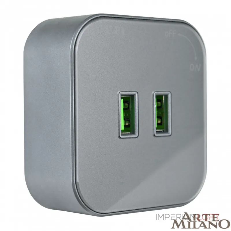 Трековая розетка, 2.1A 250V 380022TS/USBx2 Grey от ImperiumLoft Трековая розетка, 2.1A 250V 380022TS/USBx2 Grey от ImperiumLoft