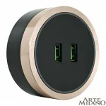 Трековая розетка, 2.1A 250V 380066TS LED/USBx2 Gold от ImperiumLoft