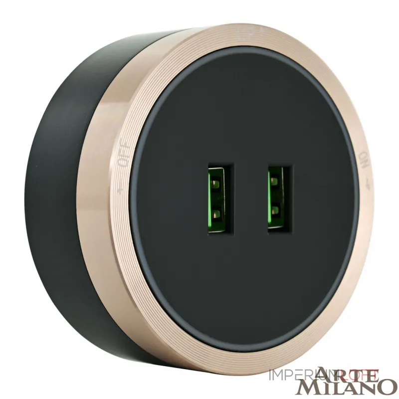 Трековая розетка, 2.1A 250V 380066TS LED/USBx2 Gold от ImperiumLoft