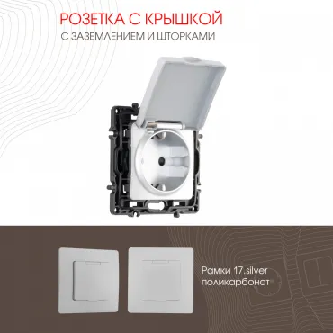 Розетка с заземлением, шторками и защитной крышкой, 16A 250V 217.41-1.silver Розетка с заземлением, шторками и защитной крышкой, 16A 250V 217.41-1.silver