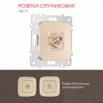 Розетка спутниковая, SAT TV 205.42-1.shampan от ImperiumLoft