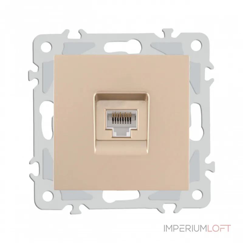 Розетка интернет, RJ45 206.45-1.shampan от ImperiumLoft