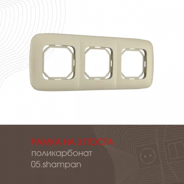 Рамка из поликарбоната на 3 поста 505.05-3.shampan