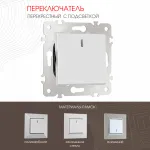 Переключатель одноклавишный перекрёстный с подсветкой, 10AX 250V 203.35-1.silver от ImperiumLoft