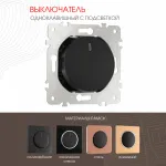 Выключатель одноклавишный с подсветкой, 10AX 250V 202.31-1.black от ImperiumLoft