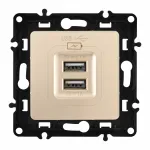 Розетка USB 2.1А+1А 217.46-1.shampan от ImperiumLoft