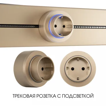 Трековая розетка, 16A 250V 397951TS/ES Gold