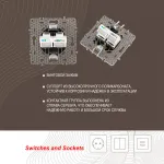 Розетка телефонная RJ11 + компьютерная RJ45 217.44-1.shampan от ImperiumLoft