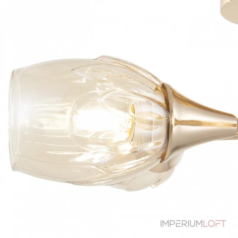 Потолочная люстра Arte Milano Napoli-6366 336366/5 FGD