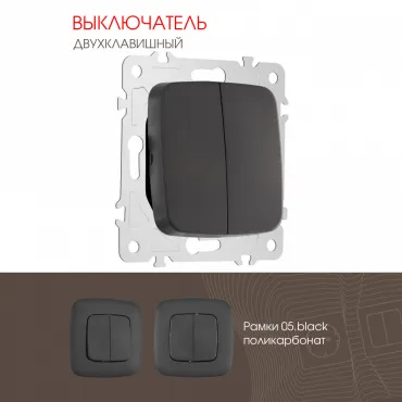 Выключатель двухклавишный, 10AX 250V 205.30-2.black