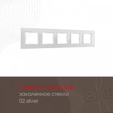 Рамка из закаленного стекла на 5 постов 503.02-5.silver Рамка из закаленного стекла на 5 постов 503.02-5.silver
