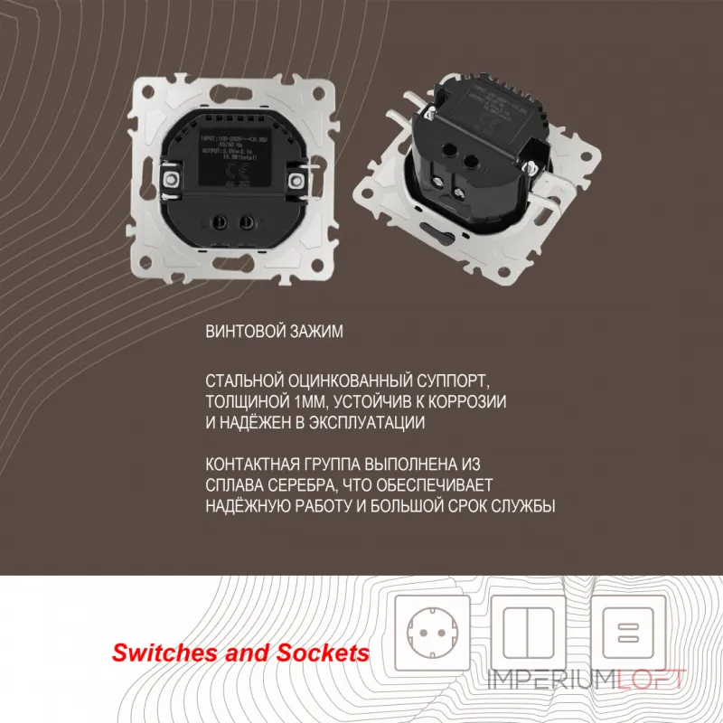Розетка USB 2.1А+1А 206.46-1.shampan от ImperiumLoft