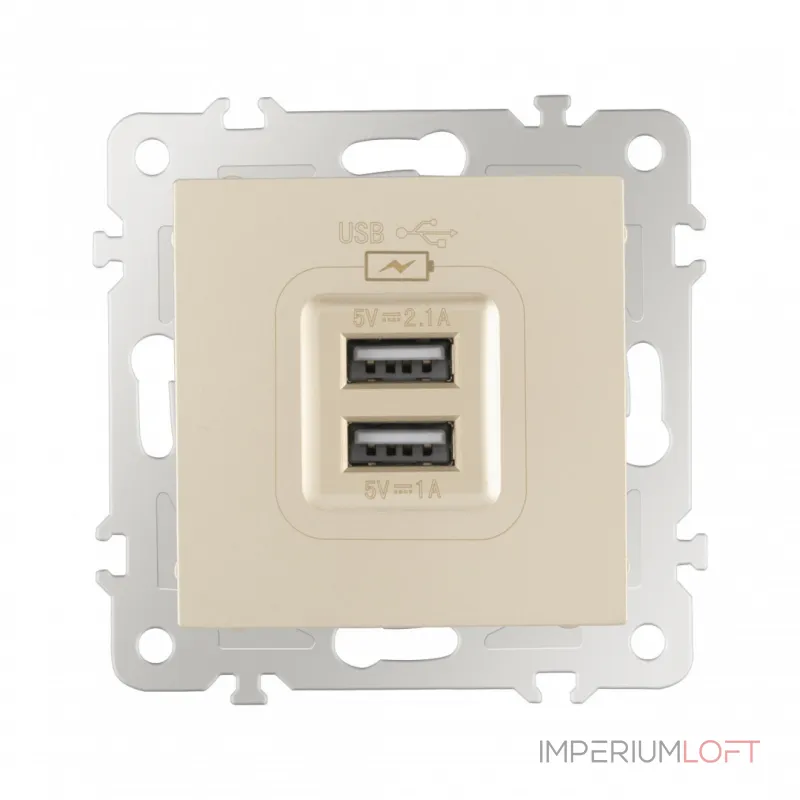 Розетка USB 2.1А+1А 206.46-1.shampan от ImperiumLoft