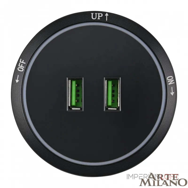 Трековая розетка, 2.1A 250V 380066TS LED/USBx2 Black от ImperiumLoft