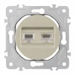 Розетка телефонная RJ11 + интернет RJ45 202.44-1.shampan от ImperiumLoft