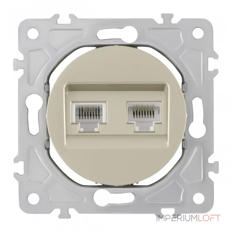 Розетка телефонная RJ11 + интернет RJ45 202.44-1.shampan от ImperiumLoft