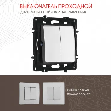 Выключатель двухклавишный проходной (на 2 направления), 10AX 250V 217.32-2.silver