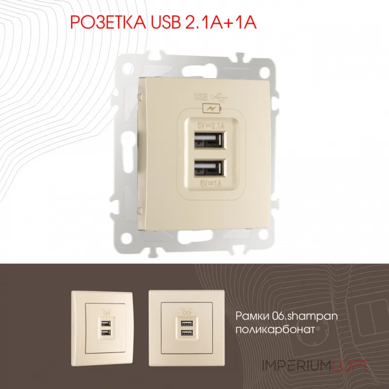Розетка USB 2.1А+1А 206.46-1.shampan от ImperiumLoft