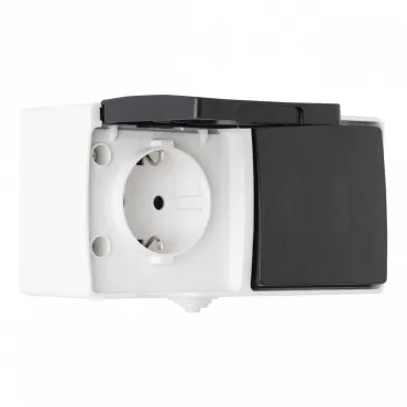 Розетка с заземлением и шторками + выключатель одноклавишный, 10AX 250V, 16A 250V 309.52-1.grey