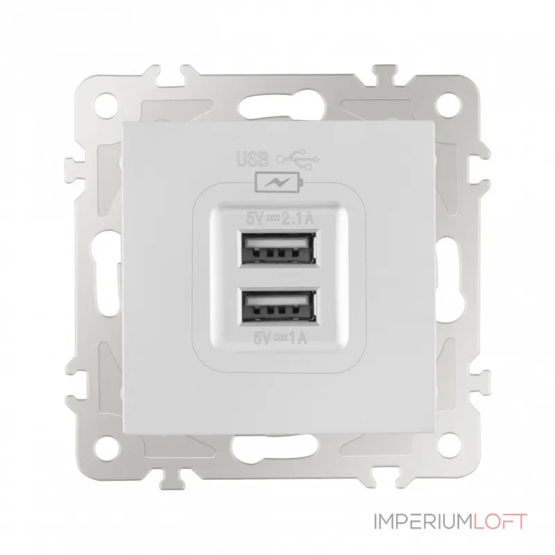 Розетка USB 2.1А+1А 206.46-1.silver от ImperiumLoft