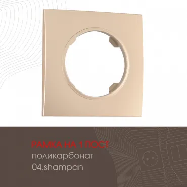 Рамка из поликарбоната на 1 пост 502.04-1.shampan