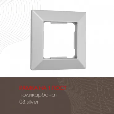 Рамка из поликарбоната на 1 пост 503.03-1.silver Рамка из поликарбоната на 1 пост 503.03-1.silver