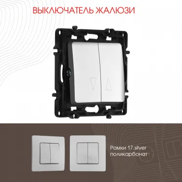 Выключатель жалюзи, 10A 250V 217.38-2.silver