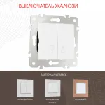 Выключатель жалюзи, 10A 250V 203.38-2.white от ImperiumLoft