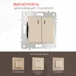Выключатель двухклавишный с подсветкой, 10AX 250V 203.31-2.shampan от ImperiumLoft