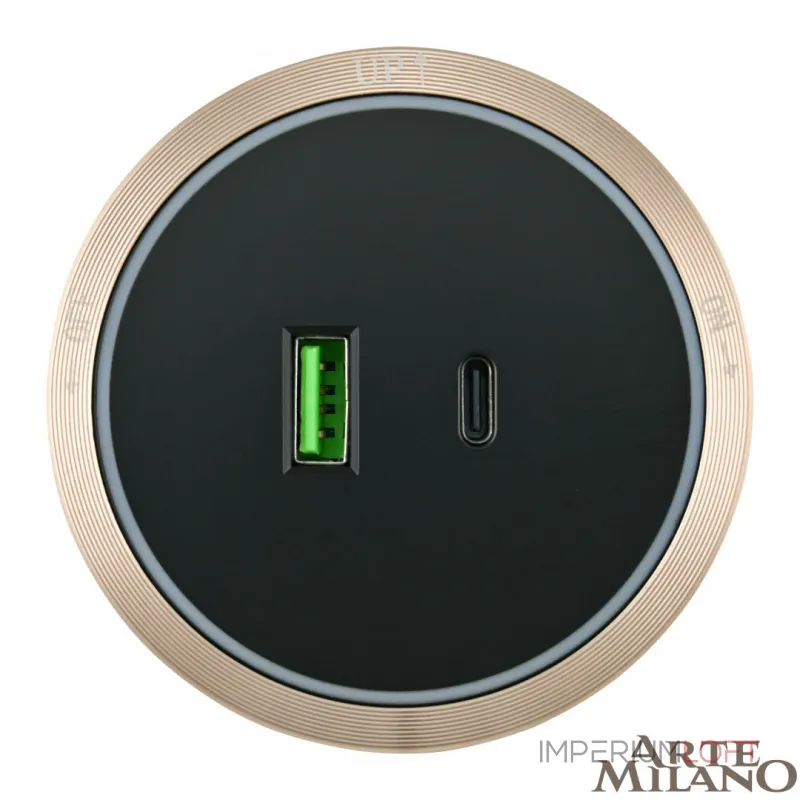 Трековая розетка, 2.1A 18W 250V 380066TS LED/USB-Type-C Gold от ImperiumLoft