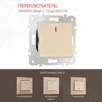 Переключатель одноклавишный перекрёстный с подсветкой, 10AX 250V 203.35-1.shampan от ImperiumLoft