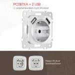 Розетка с заземлением, шторками + 2 USB, 16A 250V, USB DC 5V 2.1A 205.47-1.silver от ImperiumLoft