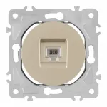 Розетка интернет, RJ45 202.45-1.shampan от ImperiumLoft